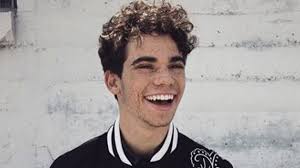 See more ideas about cameron boyce, boyce, cameron. Cameron Boyce Died Of Natural Causes According To Preliminary Coroner S Information Cnn