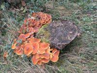 Detailed info plus links to where to play or download. Potpuno Dostupan Umetnuti Jigidi Free Usabcc Org