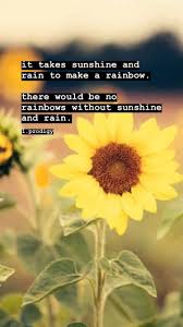 Quotes About Sunflowers Sunflower png images free download. quotes about sunflowers