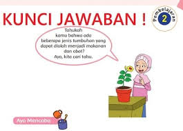 We did not find results for: Kunci Jawaban Tema 1 Kelas 6 Halaman 19 20 21 22 23 24 26 27 28 Pembelajaran 2 Subtema 1 Tumbuhan Sahabatku