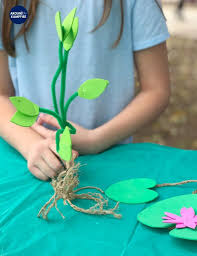 There are no worksheets here! Plant Stem Activities For Kids Making Models Of Adaptations Around The Kampfire