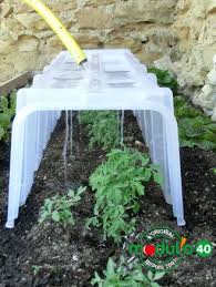 Vous pouvez utiliser les stolons que produisent vos fraisiers pour avoir de nouveaux plants. Mini Serre Et Tunnel De Forcage Modulo 40 Jardiland