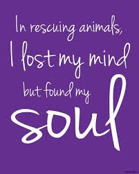  Nothing Is More Beautiful That Rescuing A Dog Rescue Quotes Animal Rescue Rescue Dogs