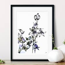 Color tattoo online coloring pages easy drawings flower doodles blue bell flowers flower drawing flowers online bluebells doodle art flowers. Bluebell Fine Art Giclee Print Jessica Wilde Design