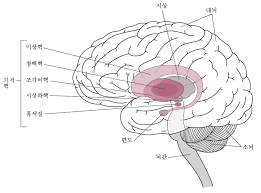심부 뇌 자극은 특별 센터에서만 이용할 수 있습니다. íŒŒí‚¨ìŠ¨ë³' Pd ë‡Œ ì²™ìˆ˜ ì‹ ê²½ ìž¥ì•  Msd ë§¤ë‰´ì–¼ ì¼ë°˜ì¸ìš©