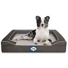 Check spelling or type a new query. The 7 Best Outdoor Dog Beds Of 2021