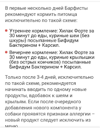 pin ot polzovatelya anna na doske dlya sobaki