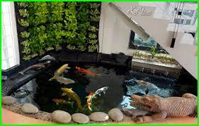 Setiap kolam ikan koi yang terkena sinar matahari langsung pasti akan berlumut. Berikut Tips Kolam Ikan Koi Yang Baik Dan Benar Untuk Anda Ekor9 Com