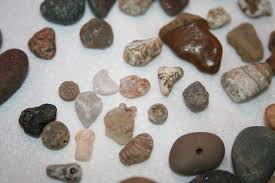Indian Beads And Other Fossils From Lake Michigan Lake Michigan Stones Indiana Dunes Rock Identification
