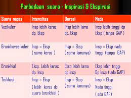 Proses inspirasi inspirasi adalah proses terjadinya pengisapan oksigen dari luar ke. Jelaskan Mekanisme Inspirasi Dan Ekspirasi Pada Pernapasan Manusia Sedang