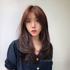 Pin Oleh Rebecca Lau Di Hair Ideas Gaya Rambut Gaya Rambut Cepol Warna Rambut