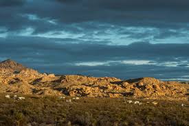 Maybe you would like to learn more about one of these? Cottonwood Campground Joshua Tree National Park U S National Park Service