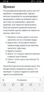 pin ot polzovatelya anna na doske dlya sobaki