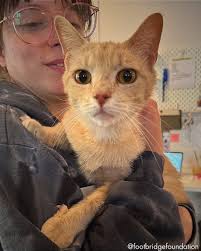 Footbridge Foundation