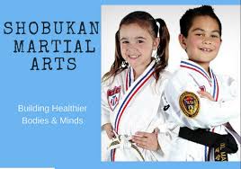 Shobukan Martial Arts For Children Martial Arts Self Defense Classes Kids Karate