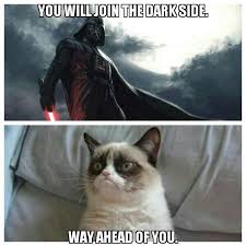 T Shirt Tuesday Uses The Force This Week With Star Wars Tees Funny Grumpy Cat Memes Funny Cat Memes Grumpy Cat