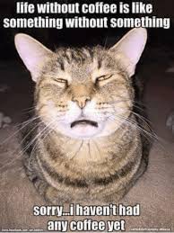 If one points in front of a wolf, the wolf looks at your hand. 75 Funny Coffee Memes For 2021 The Darkest Roast