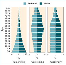 Examples Of Different Types Of Population Pyramids Download Scientific Diagram
