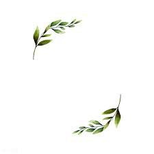 Download Premium Vector Of Hand Drawn Olive Branch Frame Watercolor Style How To Draw Hands Olive Branch Tattoo Olive Branch