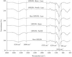 Sistem pendaftaran pekerjaan suruhanjaya perkhidmatan awam malaysia (spa9). Enhanced Laccase Production For Oil Palm Biomass Delignification Using Biological Pretreatment And Its Estimation At Biorefinary Scale Sciencedirect