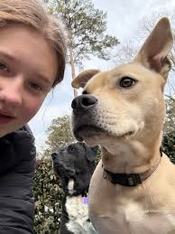 Adopt a mangy, starving stray dog in need of hope