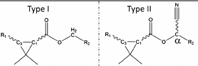 Image result for Pyrethroid