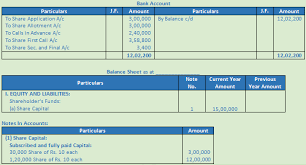 Companies act 2016 (act 777). Dk Goel Solutions Class 12 Accountancy Chapter 7 Company Accounts Issue Of Share