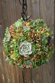 Applied the mod podge first and followed it with the cord. 50 Best Succulent Garden Ideas For 2021