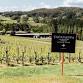 Pick A Dozen @ Tapanappa Cellar Door event image