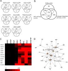 Upon hearing that, gerald simply nodded. Proteomic Profiling Of Androgen Independent Prostate Cancer Cell Lines Reveals A Role For Protein S During The Development Of High Grade And Castration Resistant Prostate Cancer Journal Of Biological Chemistry