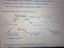 Biology 3 4 Diffusion And Osmosis Flashcards Quizlet