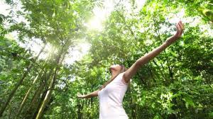 How to use lifestyle in a sentence. Healthy Lifestyle Definition What Is A Healthy Lifestyle And Its Components
