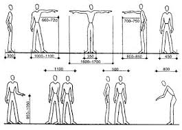 Basic Human Anthropometry In Mm 3 Human Dimension Workplace Design Human