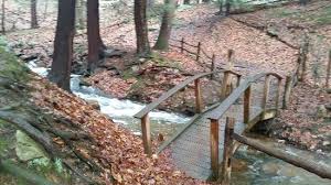 Linn Run State Park - Picture of Linn Run State Park, Rector - Tripadvisor