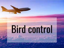 If you know, you know. Quiz Test Your Knowledge Of Aviation Terms Reader S Digest Canada