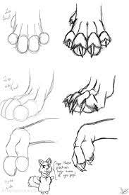 How To Draw Wolf Paws Animal Drawings Drawings Furry Drawing