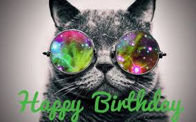 Image result for happy birthday cat