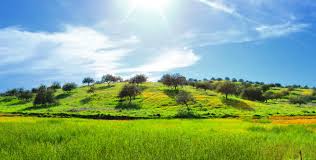 Castro marim golfe & country club has all this and more. Castro Marim Nature Reserve Birds Nature