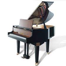 Even if it was between 2 yamahas or 2 steinways of the same make and model i'd tell you to test drive them both. Review Buying A Grand Piano Less Than Five Feet Long Pianobuyer