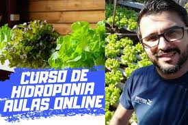 5 Segredos do Curso de Hidroponia por Bruno Palma