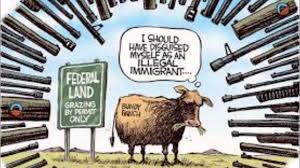 Image result for Bundy standoff