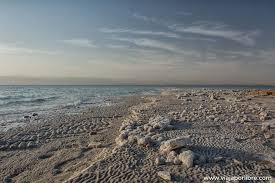 Consejos Para Visitar El Mar Muerto Que Hacer Y Que Llevar