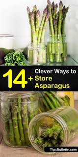 How to keep asparagus fresh in fridge. 14 Clever Ways To Store Asparagus