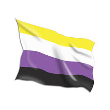 A history and description of pride flags flown at unc's gender and sexuality resource center. Buy Non Binary Pride Flags Online Flag Shop