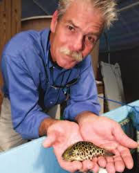 2009 Annual Research Report