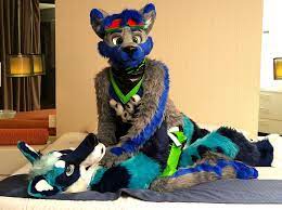 Owo What S Going On Here Fursuit Furry Furry Couple Anime Furry