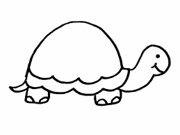 Zootier Malvorlage Kostenlos Zootiere Ausmalbilder