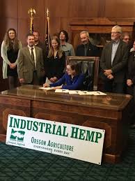 Valley family health care dental 2327 sw 4th avenue ontario, or 97914. Free Dental Care For Vets Dhs Town Hall Jobs Bills More
