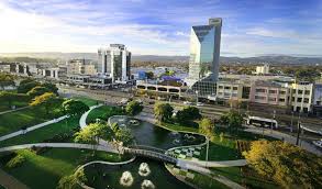 We supply trees for councils, landscapers, and the general public and deliver trees all over new zealand. Palmerston North City Manawatu New Zealand Houses North City Dolores Park