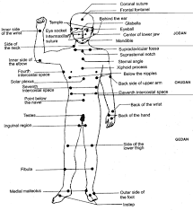 Human Body Pressure Points Diagram Body Pressure Points